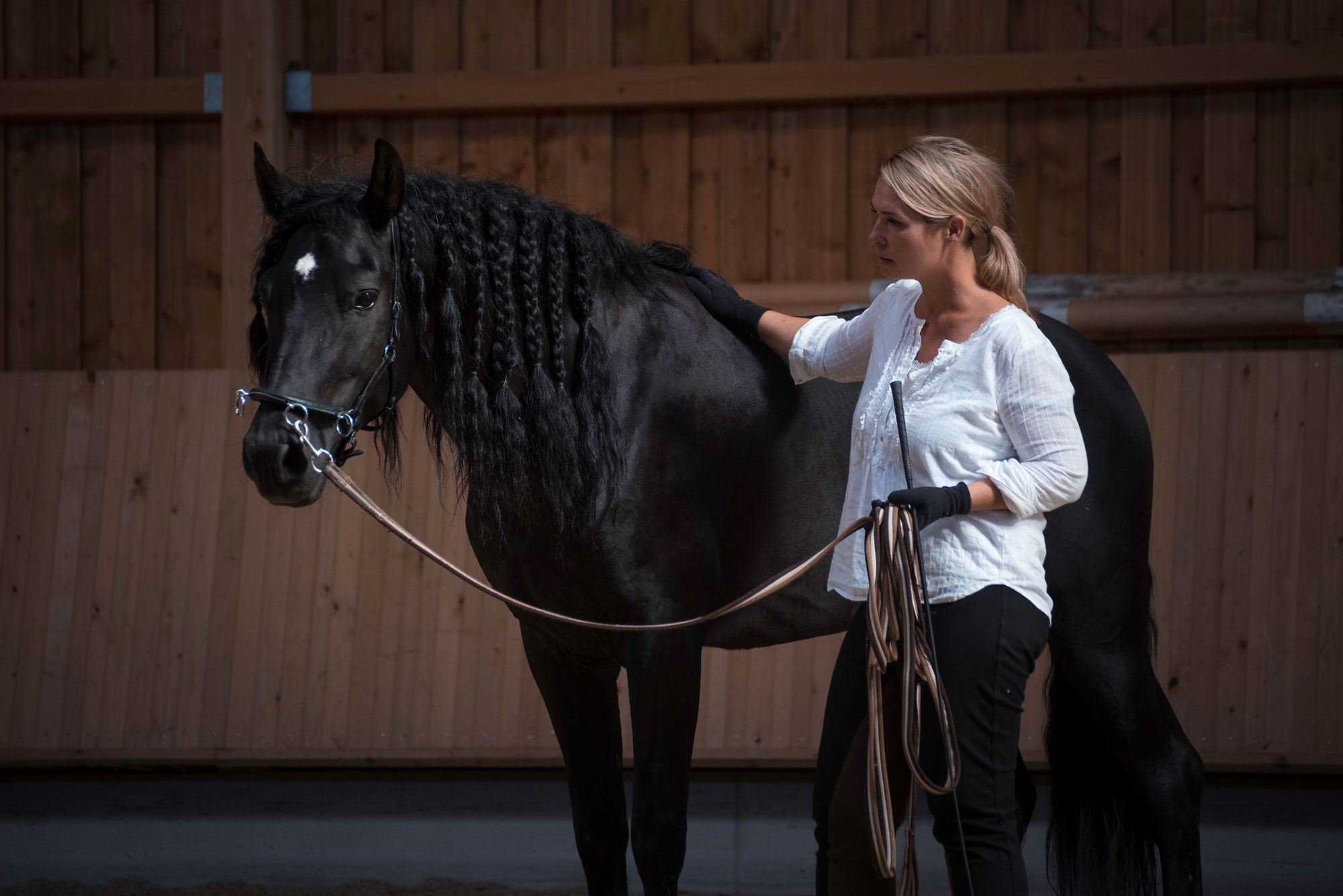 Horse Speak Kurs in Hessen