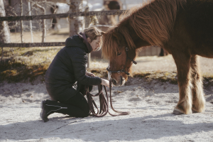 Horse Speak mit Kirsti Ludwig