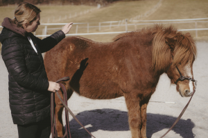 Horse Speak mit Kirsti Ludwig - Buttons halten