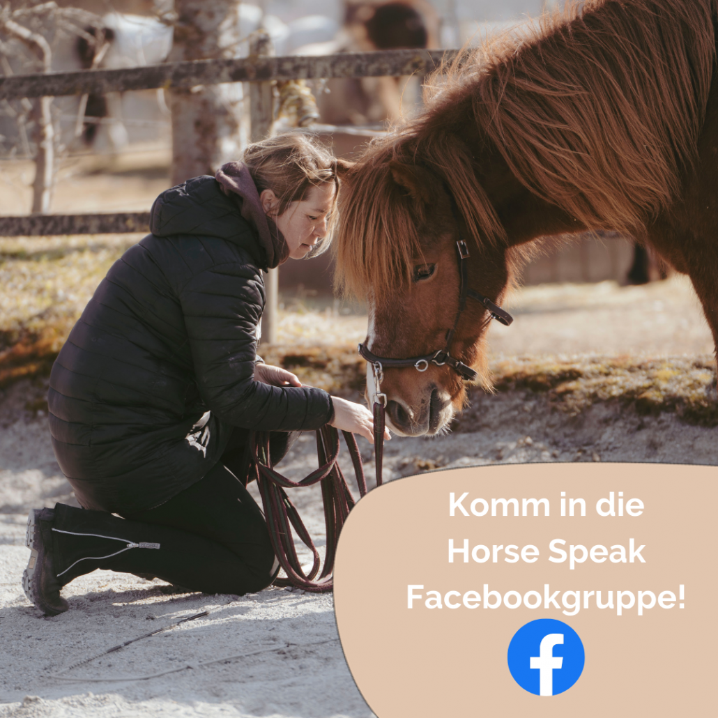 Facebookgruppe: Sprachkurs Pferd