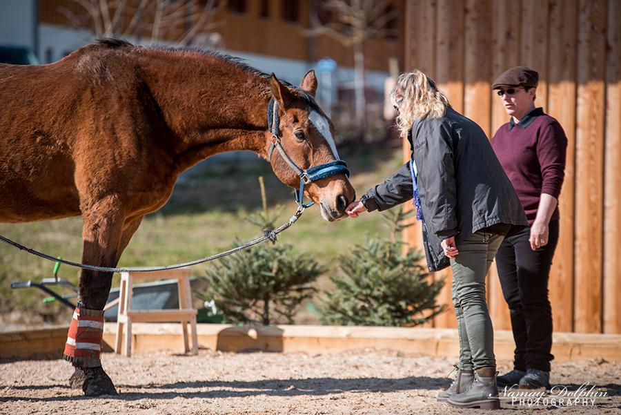 Horse Speak Kurs mit Laura Wilsie in Niedersachen