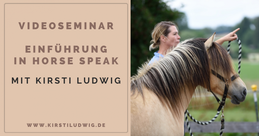 Kirsti Luwigs Horse Speak Videoseminar