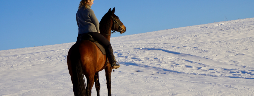 Horse Speak Kurstage mit Kirsti Ludwig