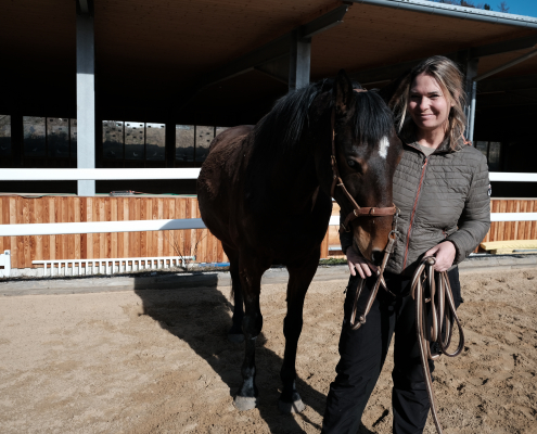 Horse Speak Basis Online-Seminar mit Kirsti Ludwig