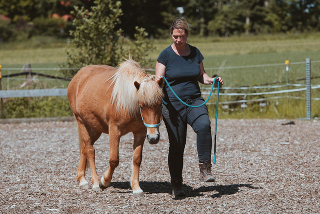 Zwei-Tages-Seminar: Horse Speak mit Kirsti Ludwig am 10. + 11. Juni 2023 in 82234 Weßling