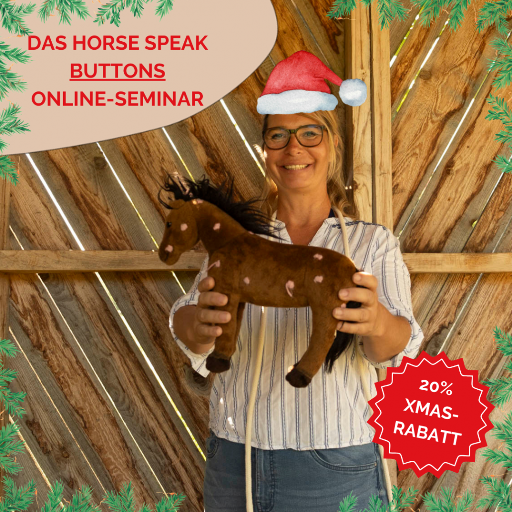 Horse Speak Einführungswebinar mit Kirsti Ludwig