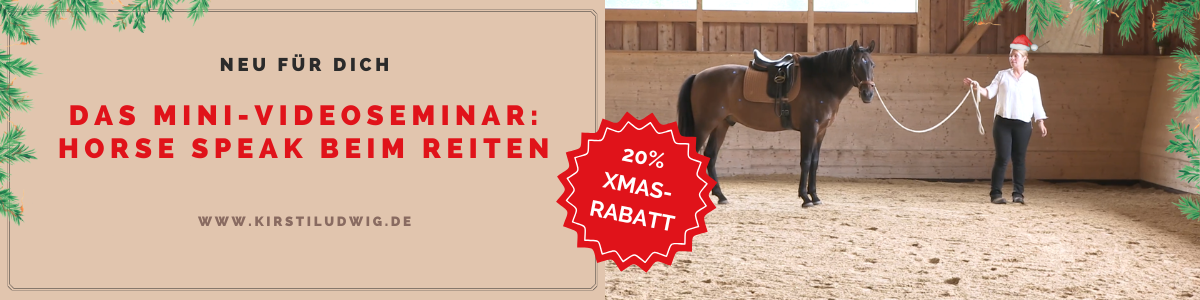 Banner - Horse Speak beim Reiten - Mini Videoseminar (2) Horse Speak Buttons Online-Seminar mit Kirsti Ludwig