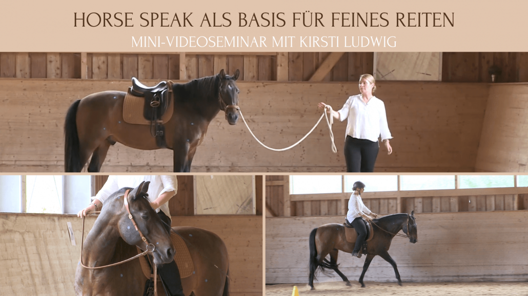 Mini-Videoseminar Horse Speak beim Reiten mit Kirsti Ludwig (1) Horse Speak Buttons Online-Seminar mit Kirsti Ludwig