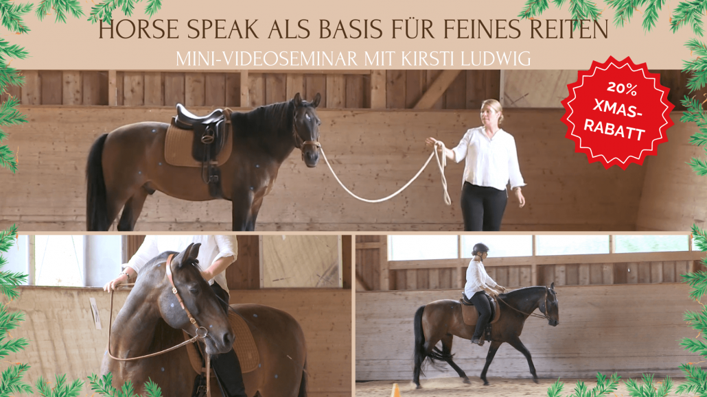 Mini-Videoseminar Horse Speak beim Reiten mit Kirsti Ludwig (4) Horse Speak Buttons Online-Seminar mit Kirsti Ludwig